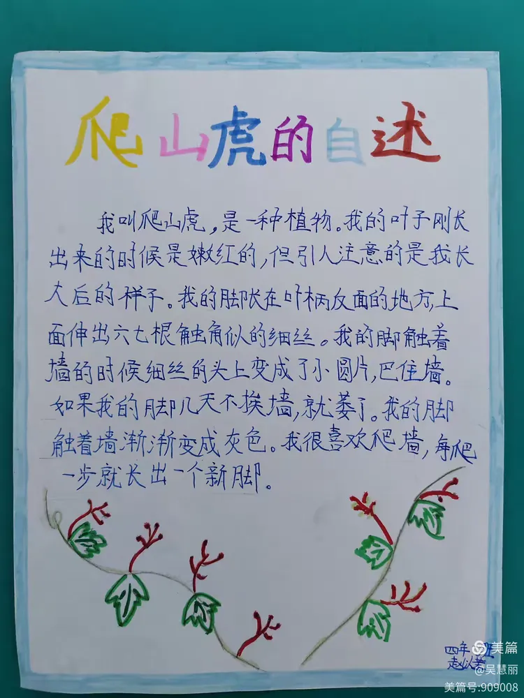 练笔《爬山虎的自述》